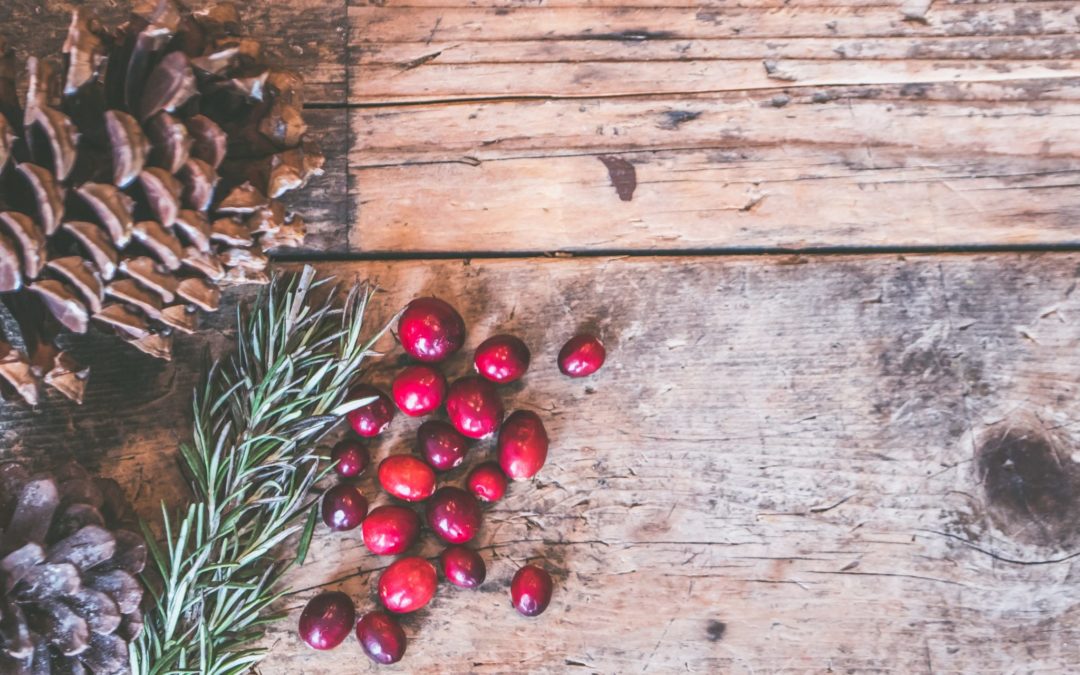 7 Ways to Give Back this Holiday Season!