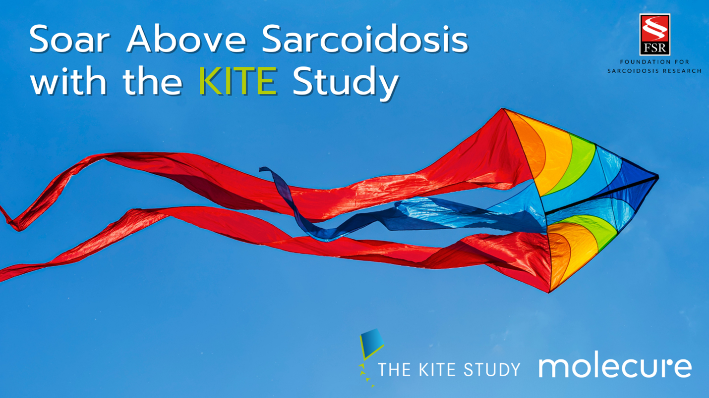 kite kite