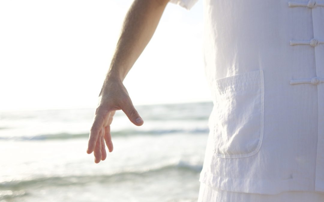 NEW FSR Qi Gong Workshop Series